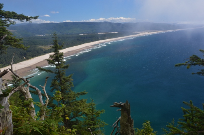 The view from the top of Cape Lookout